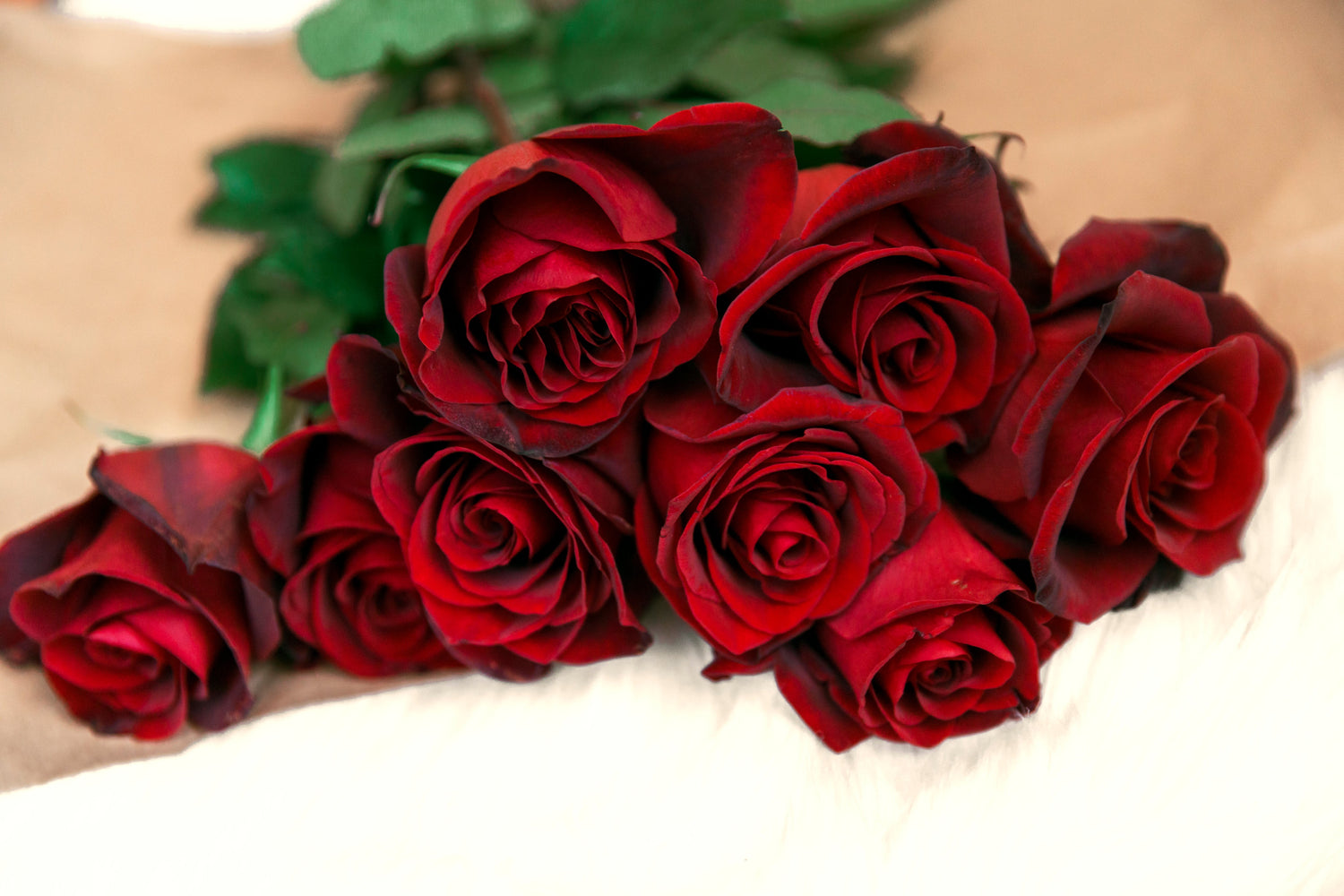 Valentine's Day