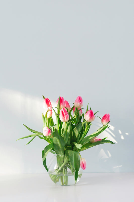 Kiss of Tulips